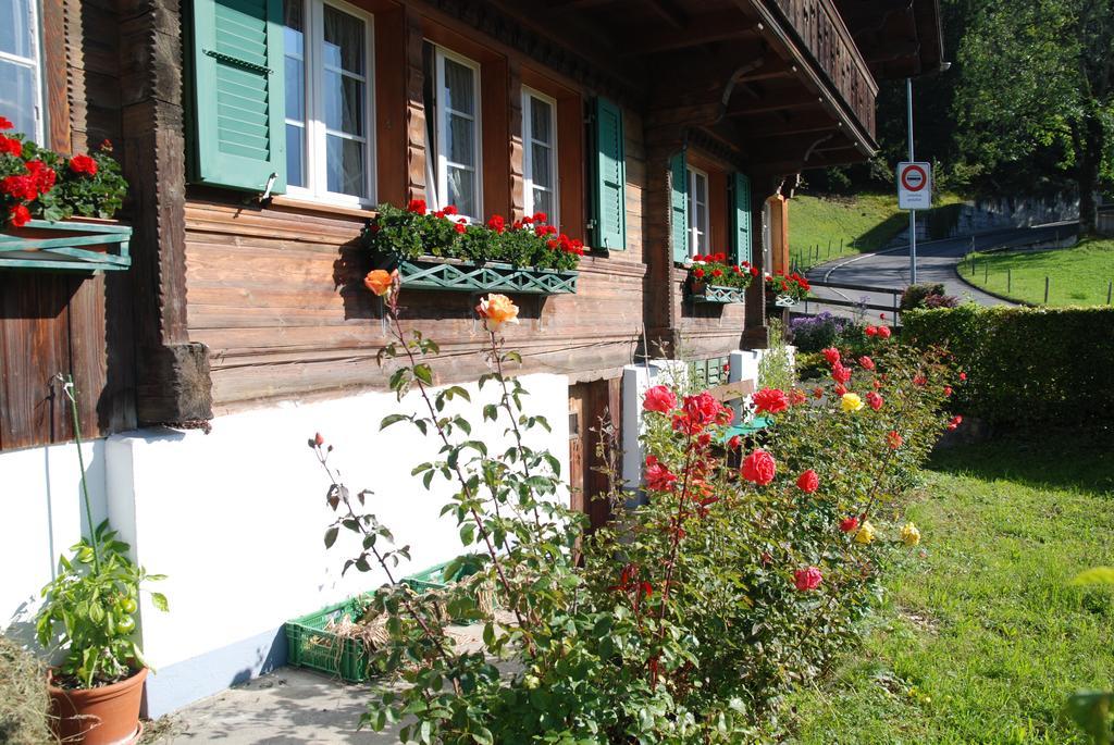 Chalet Tuftbach Appartement